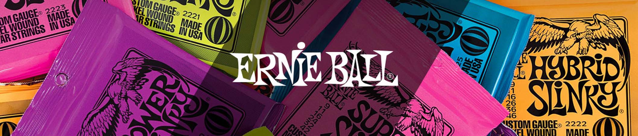 ernie ball banner